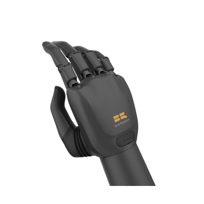 Brainco Intelligent Dexterous Bionic Hand (Intelligent Dexterous Bionic Hand)