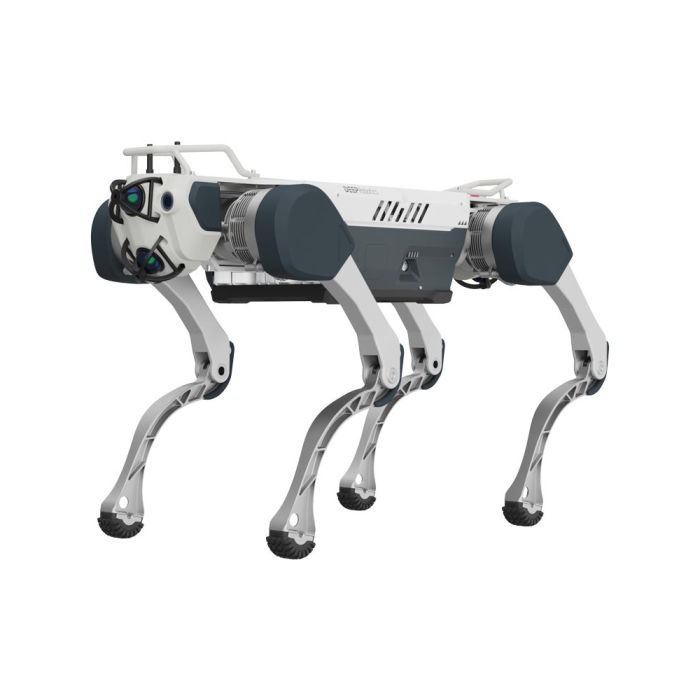 Deep Robotics X30 Industrial Quadruped Robot Dog