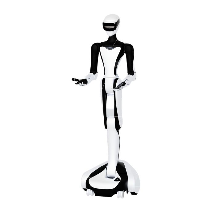 RobotEra Q5 Service Robot 