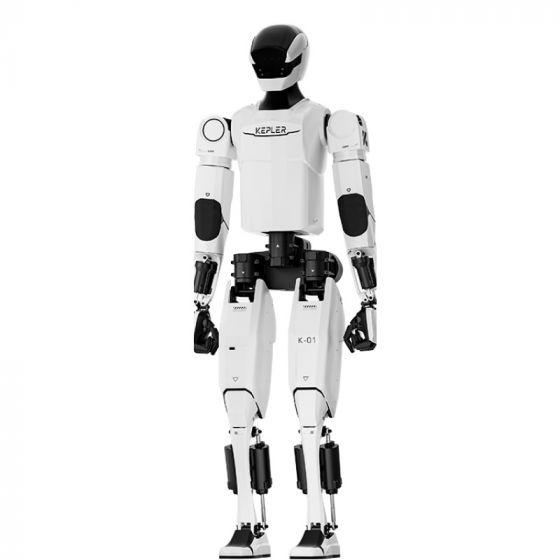 Kepler Humanoid Robot (Humanoid Robot)