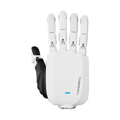 Linkerbot Linker Hand 06 (Linker Hand 06)