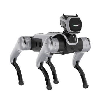 MagicLab MagicDog Quadruped Robot